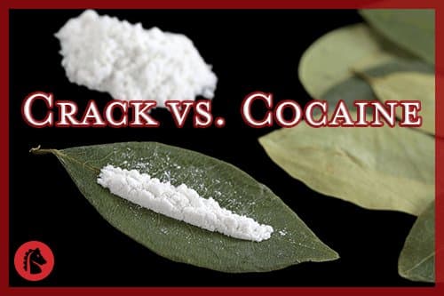 Dont sell food crack cocaine fan images